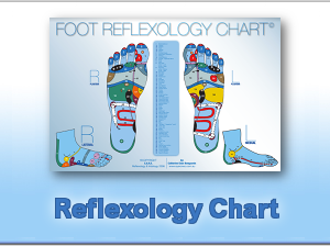 Reflexology Chart (Laminated A3)